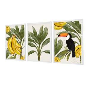 Kit 3 Quadros Decorativos Natureza Verde Folhagens Tucano Brasil