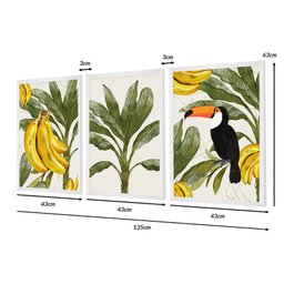 Kit 3 Quadros Decorativos Natureza Verde Folhagens Tucano Brasil - 4