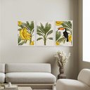 Ver imagem 2 de Kit 3 Quadros Decorativos Natureza Verde Folhagens Tucano Brasil