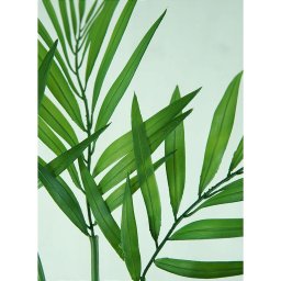Planta Artificial Palmeirinha 5 Galhos 76cm com Raiz Luxo - 4