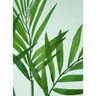 Planta Artificial Palmeirinha 5 Galhos 76cm com Raiz Luxo - 4