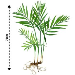 Planta Artificial Palmeirinha 5 Galhos 76cm com Raiz Luxo - 5