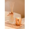 Óleo Difusor de Aromas Clássica 250ml Acqua Aroma Bambu Chinês - 6