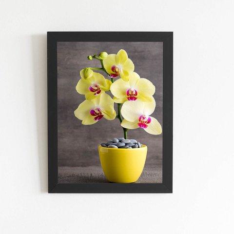 Quadro Orquídeas Amarelas Flor em Vaso Moldura Preta 60x40cm