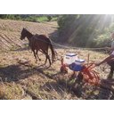 Ver imagem 3 de Plantadeira 1 Linha para Tração Animal