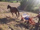 Ver imagem 3 de Plantadeira 1 Linha para Tração Animal