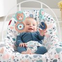 Ver imagem 6 de Cadeira Infantil De Descanso Balanço Vibra Fisher Price Azul