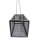 Ver mais imagens de Ratoeira Gaiola Armadilha Kit 10 Unidades Camundongos Roedores Rato Ratazana Captura Ab.Midia BSL310