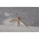 Ver imagem 4 de Tela Mosquiteira Anti Inseto em Nylon 1,50 X 50m Verde