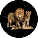 Ver imagem 1 de Capa Estepe para Ecosport Crossfox Aircross Família Lorben