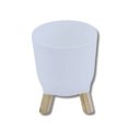 Ver imagem 4 de Cachepot Acrilico Brulet com Pés de Madeira 16x12,5cm