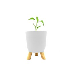 Cachepot Acrilico Brulet com Pés de Madeira 16x12,5cm - 1