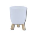 Ver imagem 5 de Cachepot Acrilico Brulet com Pés de Madeira 16x12,5cm