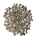 Ver imagem 1 de Pedra Amazonita 1 a 2 Cm Rolada 1kg Natural