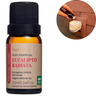Óleo Essencial Eucalipto Radiata Vegano Natural 100% Puro 10ml - Eucalipto Radiata - 1