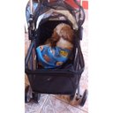 Ver imagem 3 de Carrinho Cachorro Cao Gato Pet Passeio Ar Livre Animal de Estimaçao Transporte Dobravel Caminhada La