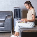 Ver imagem 7 de Climatizador de Ar Symphony 22 Litros Diet Cinza - 127 Volts