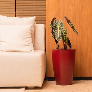 Vaso Cone Liso 45 Vermelho