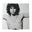 Ver imagem 1 de Azulejo Decorativo The Doors Jim Morrison Banda Rock