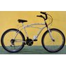 BICICLETA PRAIANA C&G PINTURA BAMBU 18 VELOCIDADES - 1