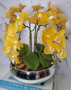 Ver imagem 3 de Arranjo Com 4 Orquídeas Amarelo Vaso Prata 28cm