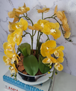 Ver imagem 2 de Arranjo Com 4 Orquídeas Amarelo Vaso Prata 28cm