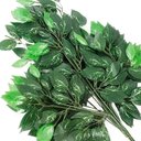Ver imagem 2 de Kit 60 Ramos Decoração Arranjo Fícus Artificial Verde 14 Galhos Cada 60cm.