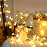 Fio de Luz de Led Cormilu, À Pilha, 35 Lâmpadas, 4.2m - 1