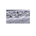 Ver imagem 3 de Colchão Solteiro Toraflex Espuma Coala D33 78x188x16