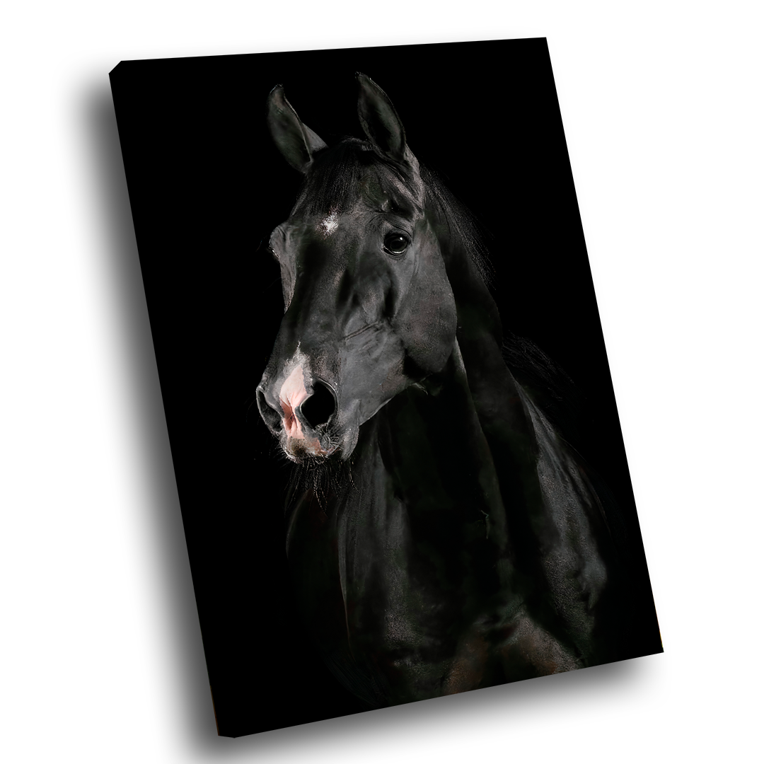 Quadro Cavalo Preto -- BR ARTES - 1