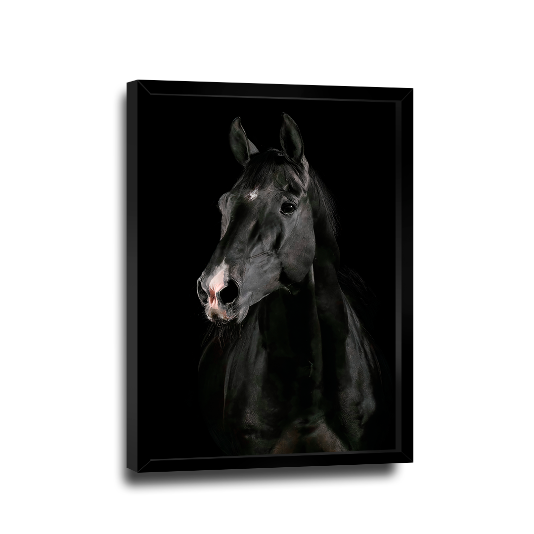 Quadro Cavalo Preto -- BR ARTES - 2