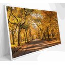 Ver imagem 3 de Quadro Central Park Outono Decor&quadros Cid051 120x80 Cm Vidro Impresso