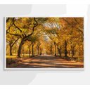Ver imagem 2 de Quadro Central Park Outono Decor&quadros Cid051 120x80 Cm Vidro Impresso