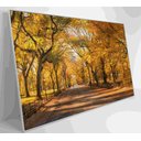 Ver imagem 6 de Quadro Central Park Outono Decor&quadros Cid051 120x80 Cm Vidro Impresso