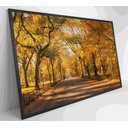 Ver imagem 4 de Quadro Central Park Outono Decor&quadros Cid051 120x80 Cm Vidro Impresso