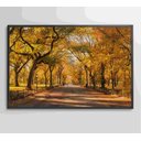 Ver mais imagens de Quadro Central Park Outono Decor&quadros Cid051 120x80 Cm Vidro Impresso