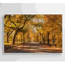 Ver imagem 7 de Quadro Central Park Outono Decor&quadros Cid051 120x80 Cm Vidro Impresso