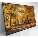Ver imagem 5 de Quadro Central Park Outono Decor&quadros Cid051 120x80 Cm Vidro Impresso