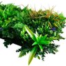 Jardim Vertical Artificial Flores Tropical 50x100cm - 3