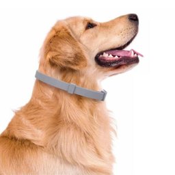 Coleira Anti Pulga Gato Cao Cachorro Pet Carrapato Leishmaniose Canino Felino Tamanho Kit 4 Uni. Efi - 9