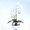 Ver imagem 1 de Arranjo 2 Orquídeas Artificiais Brancas em Aquário Prata Maísa
