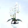Arranjo 2 Orquídeas Artificiais Brancas em Aquário Prata Maísa - 1