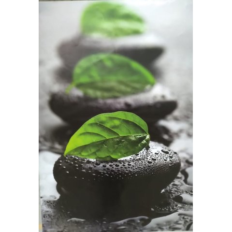 Quadro Decorativo Ecofloat Pedras e Folhas ZEN 70 X 100 cm sem Moldura