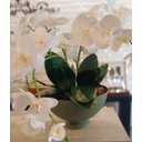 Ver imagem 3 de Fruteira Metal Lua Base Redonda Verde 26x26x18