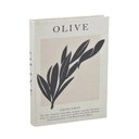 Ver imagem 1 de Caixa Livro Decorativa Olive 36 Cm - Espressione