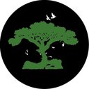 Ver imagem 1 de Capa de Estepe Pneu Exclusiva Aro 17" 18" Impressão Digital