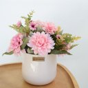Ver imagem 6 de Arranjo de Dálias Rosa no Vaso de Cerâmica Branco 23cm | Formosinha