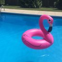 Ver mais imagens de Boia Flamingo Rosa 120cm Inflável Gigante Modelos Pop