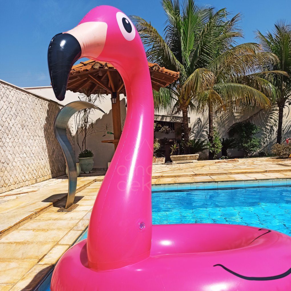 Boia Flamingo Rosa 120cm Inflável Gigante Modelos Pop - 3