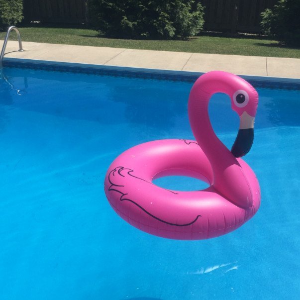 Boia Flamingo Rosa 120cm Inflável Gigante Modelos Pop - 8